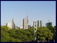 Yoyogi Park 19